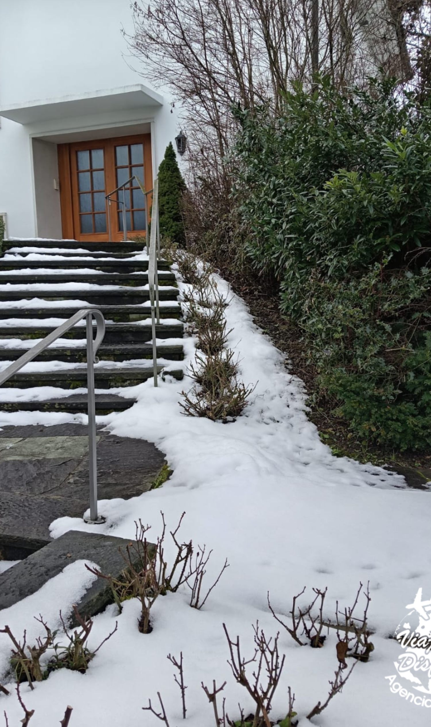 Mega Europea Suiza (3)