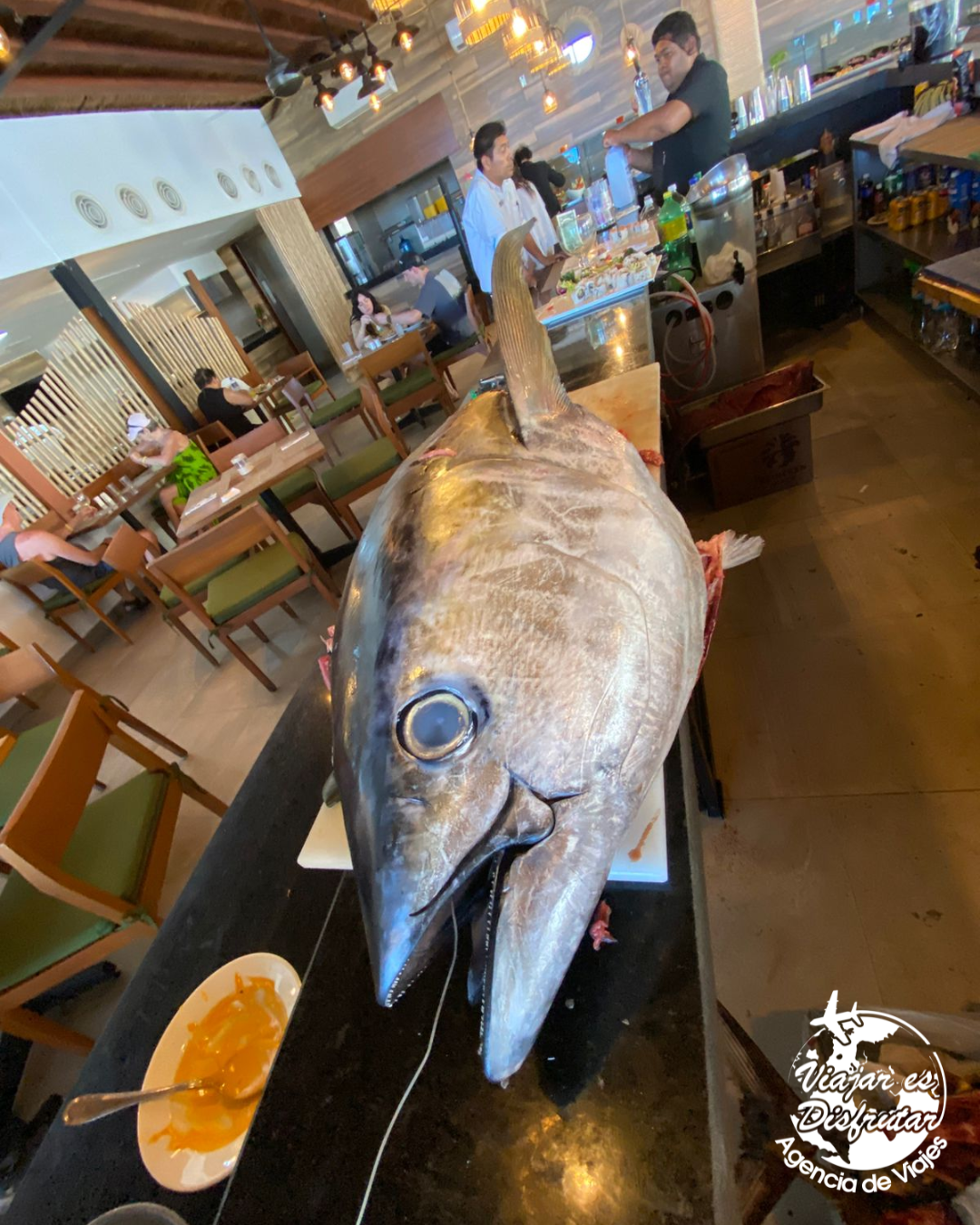 Krystal Gran Los Cabos (14)