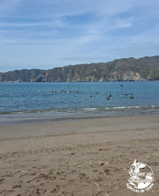 La quinta gran bahia (10)