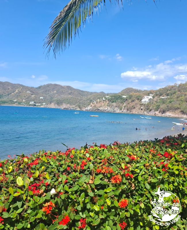 La quinta gran bahia (14)