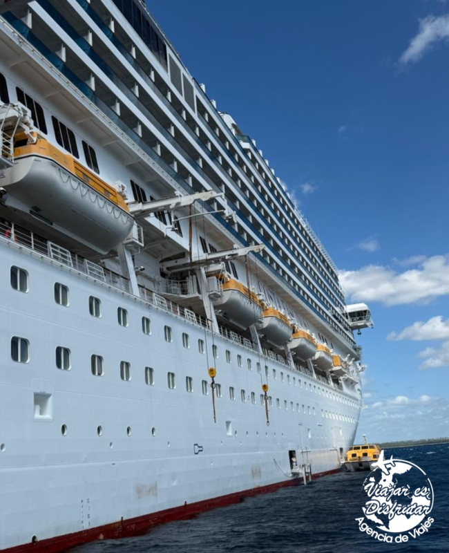 Caribe Fascinosa (11)