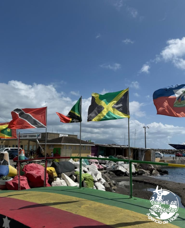 Caribe Fascinosa (12)