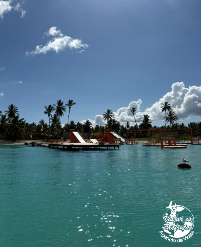 Caribe Fascinosa (14)