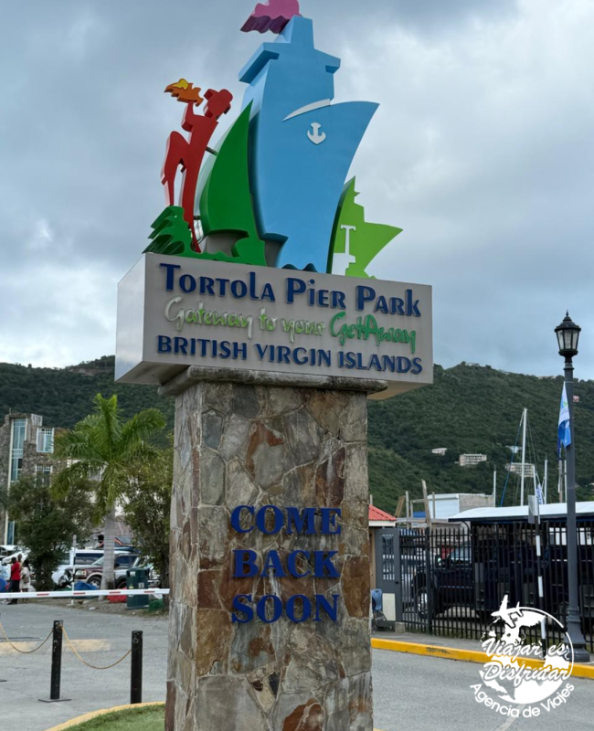 Caribe Fascinosa (16)