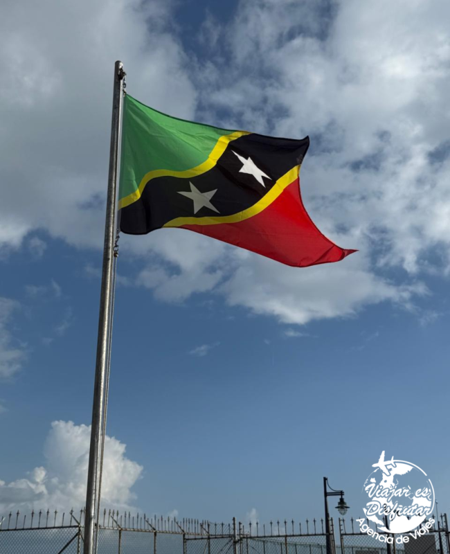 Caribe Fascinosa (17)