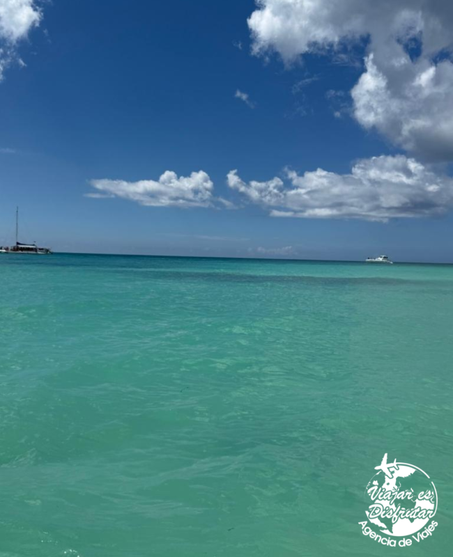 Caribe Fascinosa (6)