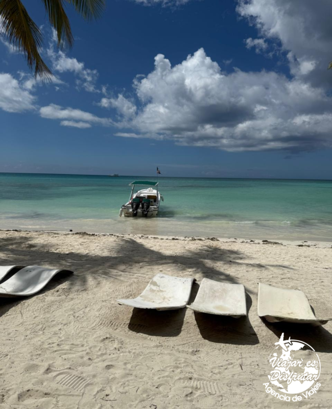 Caribe Fascinosa (8)