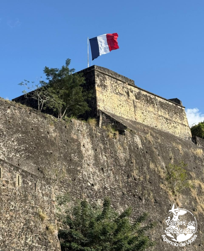 Caribe Fascinosa (9)