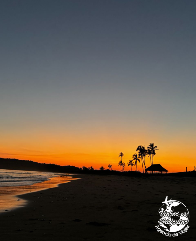 Los Angeles Locos (13)