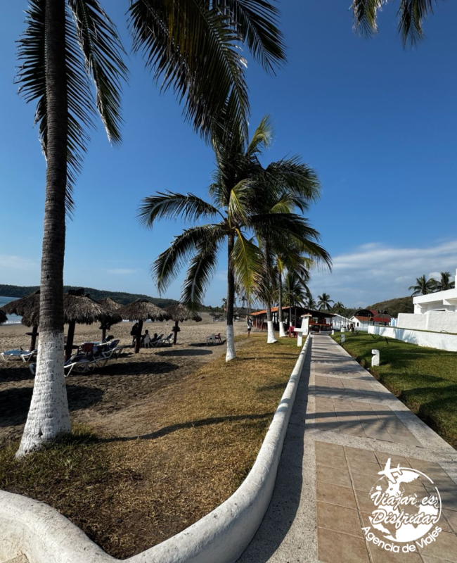 Los Angeles Locos (14)