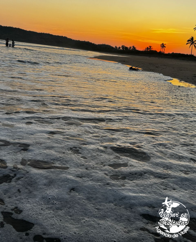 Los Angeles Locos (8)