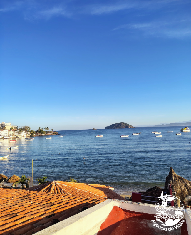 DeCameron Los Cocos (5)