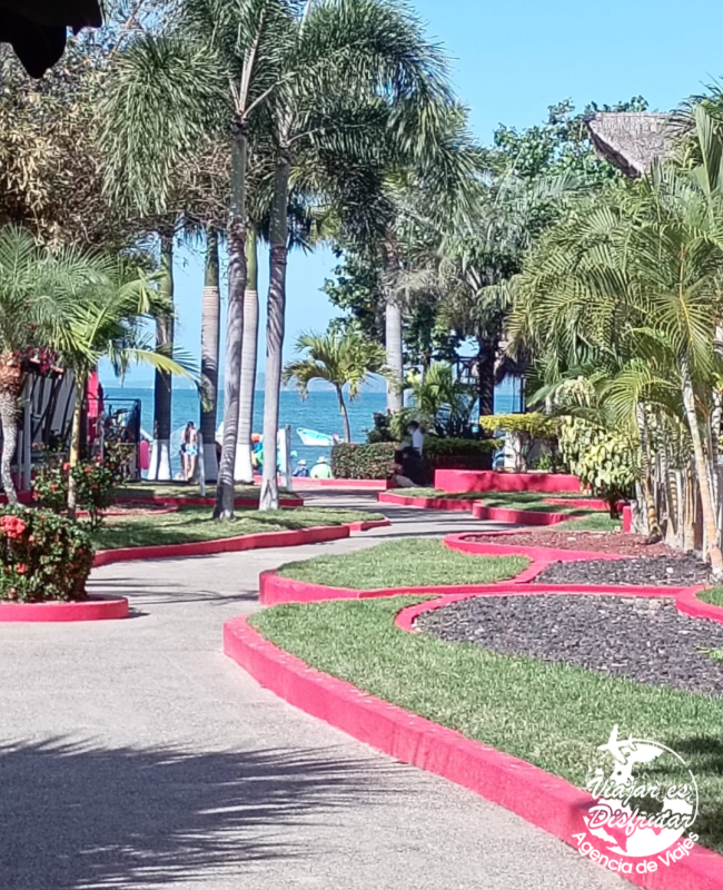 DeCameron Los Cocos (7)